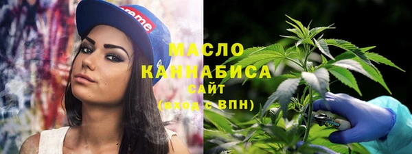 эйфоретик Ветлуга