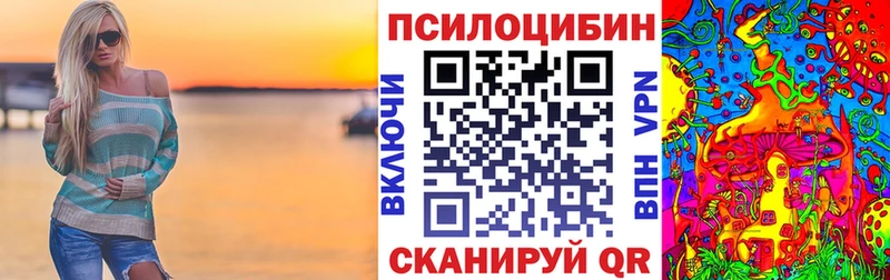 наркота  Мамадыш  Псилоцибиновые грибы Psilocybine cubensis 